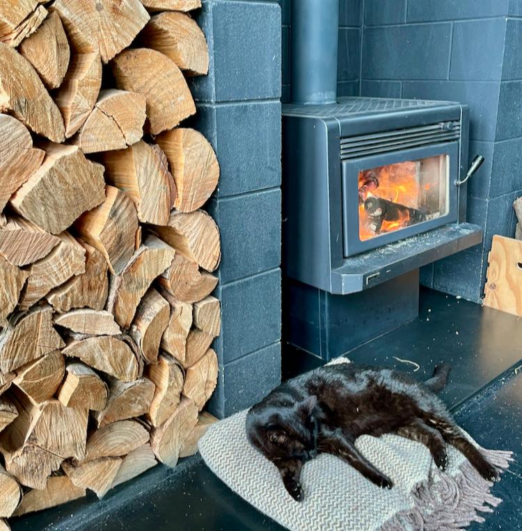 Simon the cat lounges by the fire at Black Estate, Waipara.