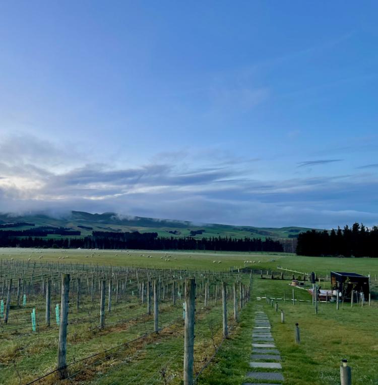 The Wine Pod in Georges Road Vineyard.