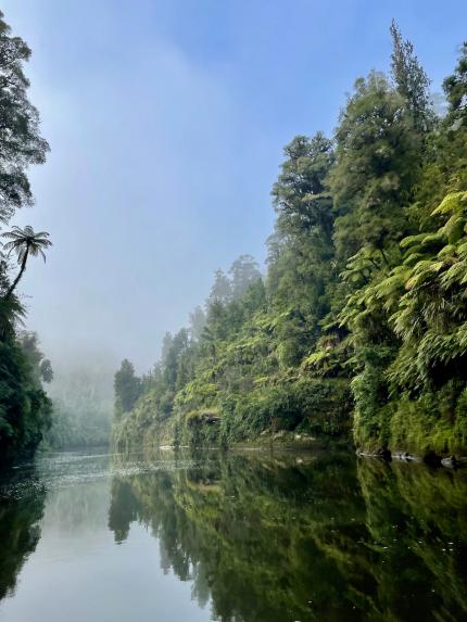 Morning mist starts to lift over the Whanganui River.