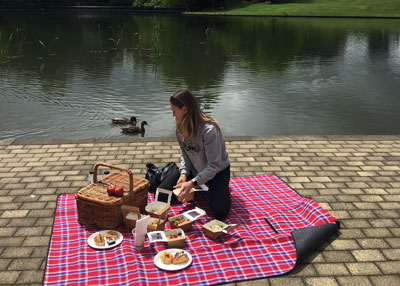 Picnic in Hamilton