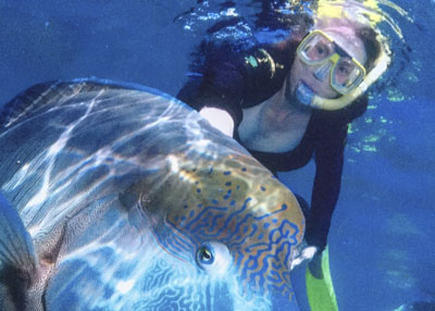 Queensland INP