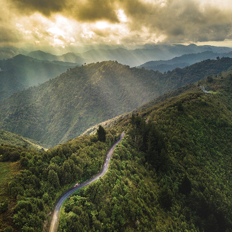 The majestic Tairāwhiti landscape. Photo by Michael Lamb.