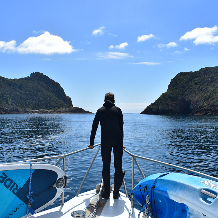 Onboard the Perfect Day at the Poor Knights. Photo by Michael Botur.