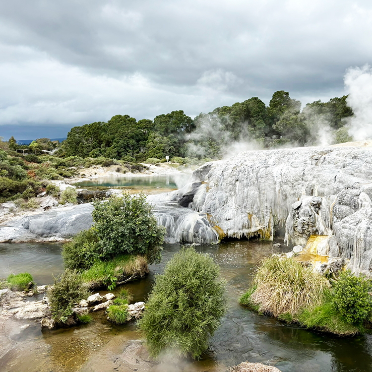 Te Puia is a geothermal hotspot in Rotorua. Photo by Jo Percival.