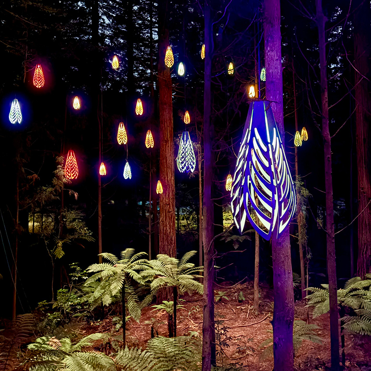 The magical Redwoods Nightlights in Rotorua. Photo by Jo Percival.
