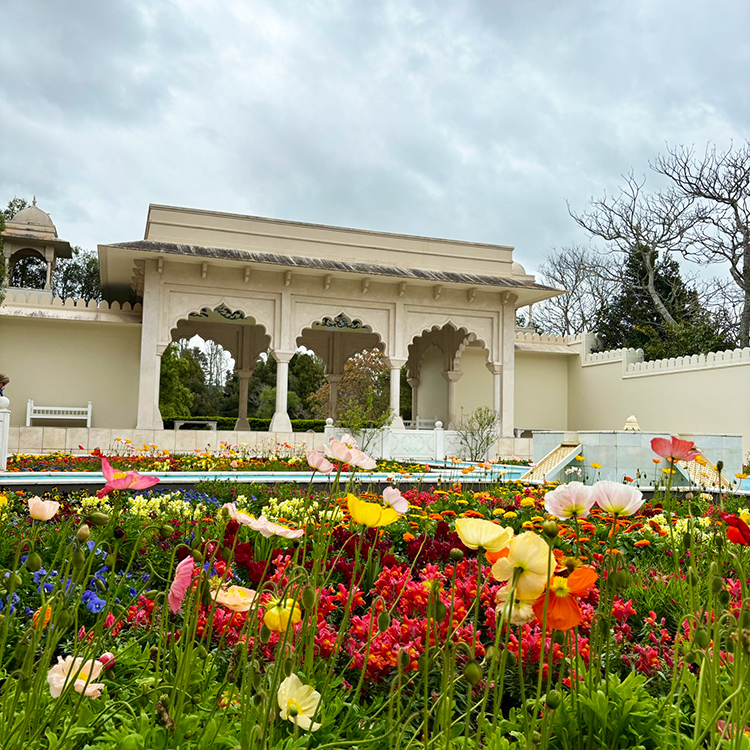 Vibrant bursts of colour at the Indian Char Bagh garden. Photo by Jo Percival.