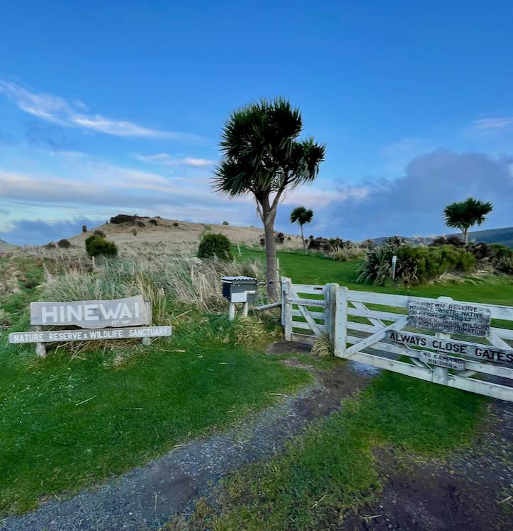 Hinewai Nature Reserve and Wildlife Sanctuary on the Banks Peninsula.