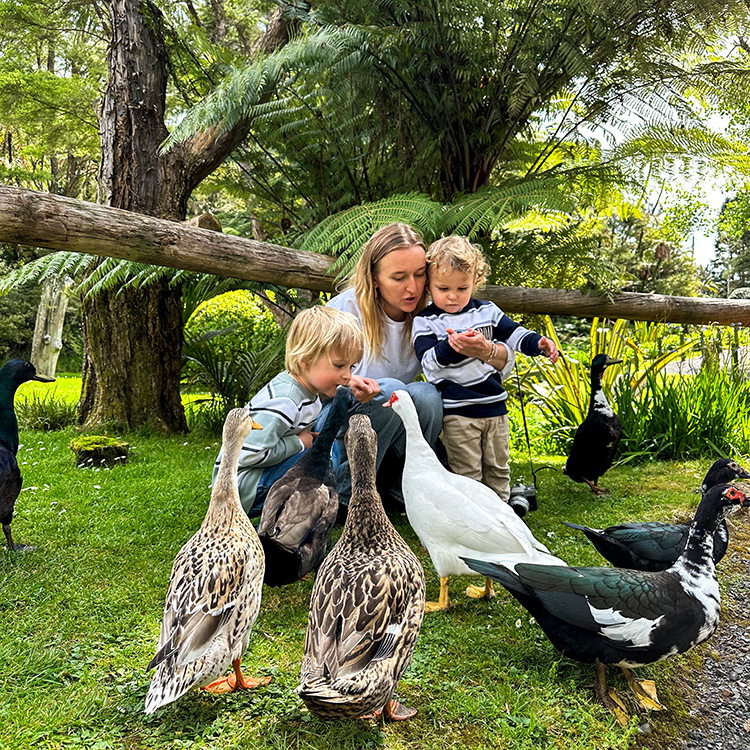 Feeding the ducks at Raupara Watergardens. Photo by Monica Tischler. 
