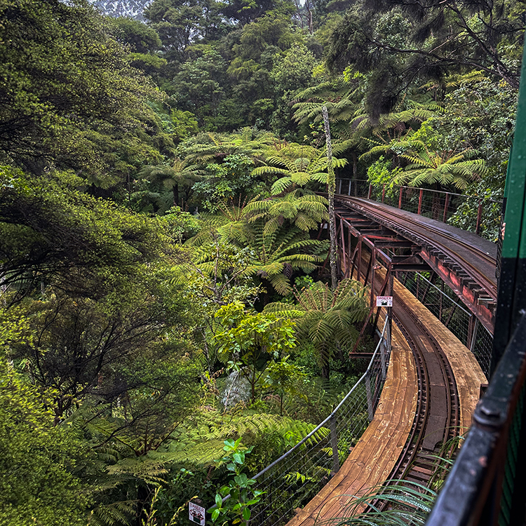 Potter Barry Brickell built the small railway here in the to transport clay. Photo by Monica Tischler. 