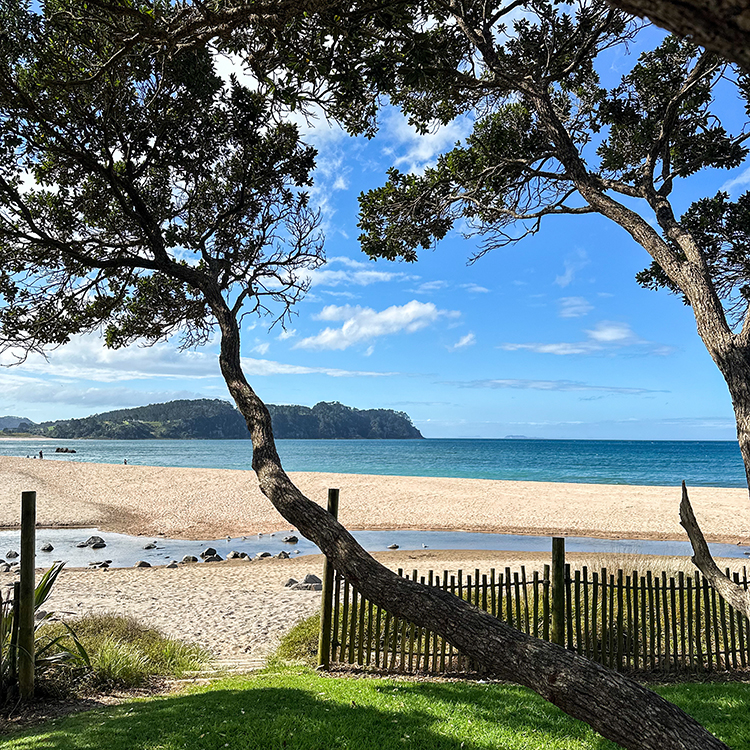 An iconic Coromandel beach. Photo by Monica Tischler. 