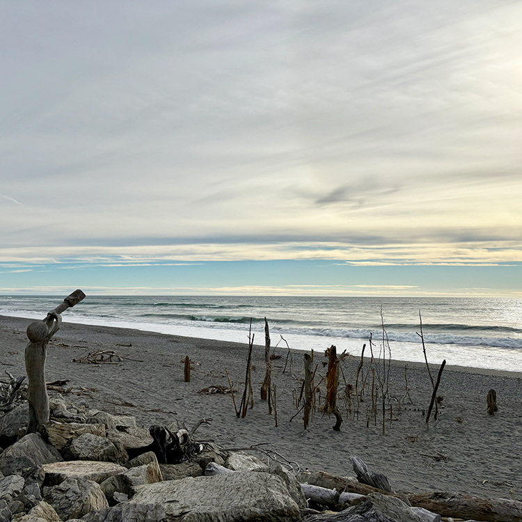 Driftwood sculptures in Hokitika. 