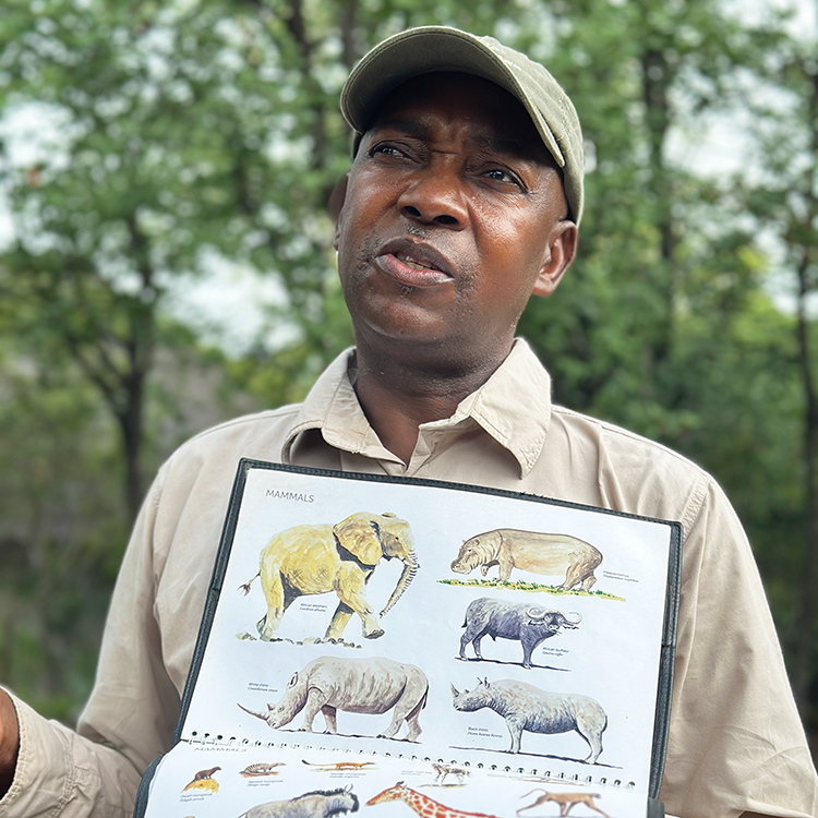 Ranger Dyke Khosa shares knowledge about local wildlife. Photo by Jacqui Gibson.