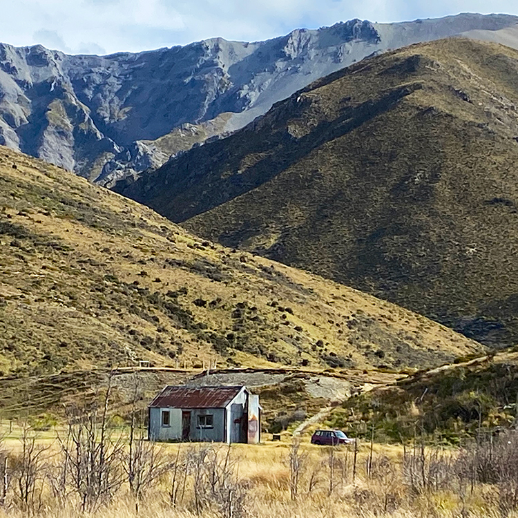 Vast, tussock-clad landscapes in the St James Conservation Area. Photo by Eleanor Hughes.