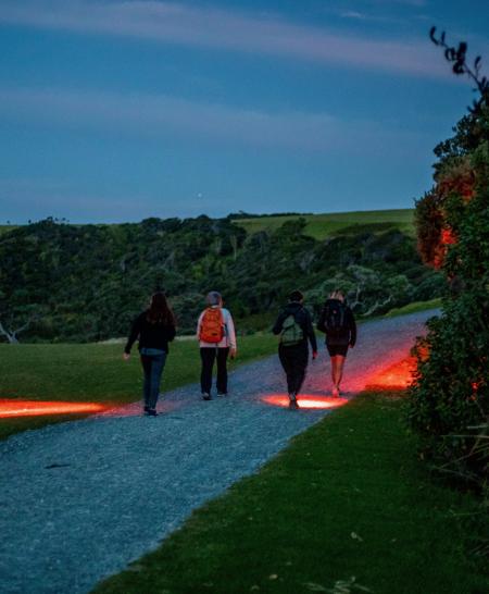 Tawharanui torches INP