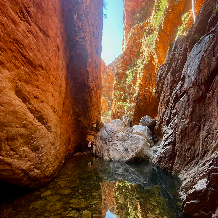 Standley Chasm pool