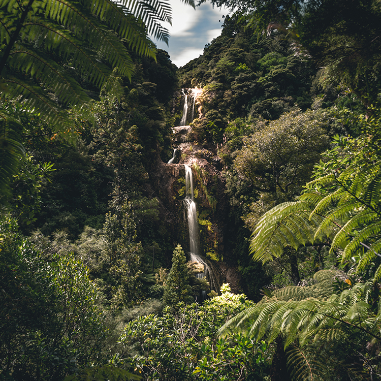 The beautiful Kitekite Falls in Auckland's Waitākere Ranges.