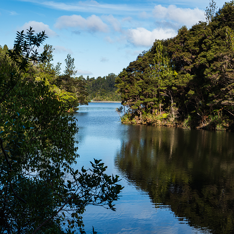 Upper Nihotupu Dam, Waitākere.