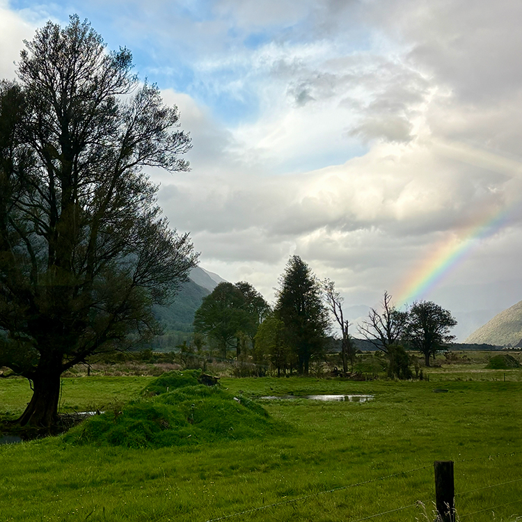 A misty rainbow near Inchbonnie. Photo by Jo Percival.
