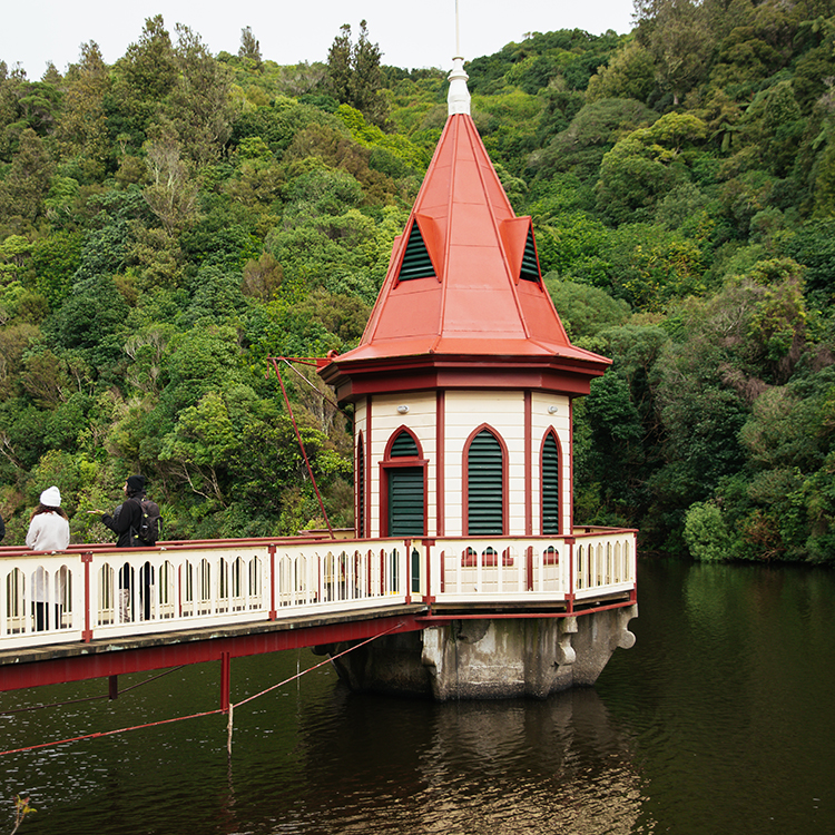 Wellington's Zealandia urban eco-sanctuary. Photo by Phoebe Mackenzie.