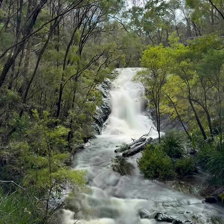 Beedelup Falls in Greater Beedelup National Park. Photo by Jo Percival.