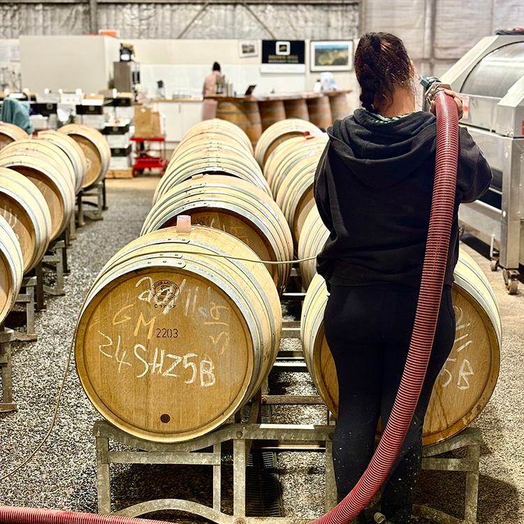 Winery work at Brown Hill in Margaret River. Photo by Jo Percival.