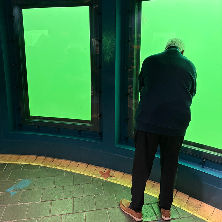The underwater observatory at Busselton Jetty is lurid green on a squally day. Photo by Jo Percival.