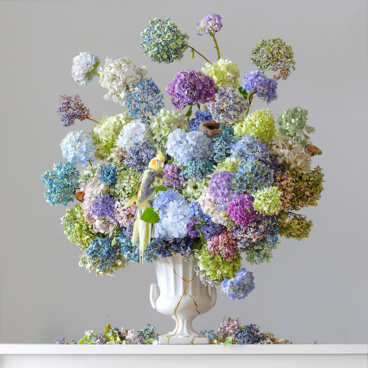 Be in to win a beautiful photographic print by Emma Bass.