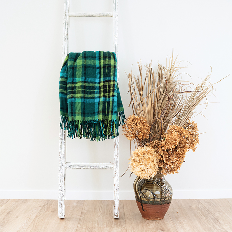 Evergreen travel rug