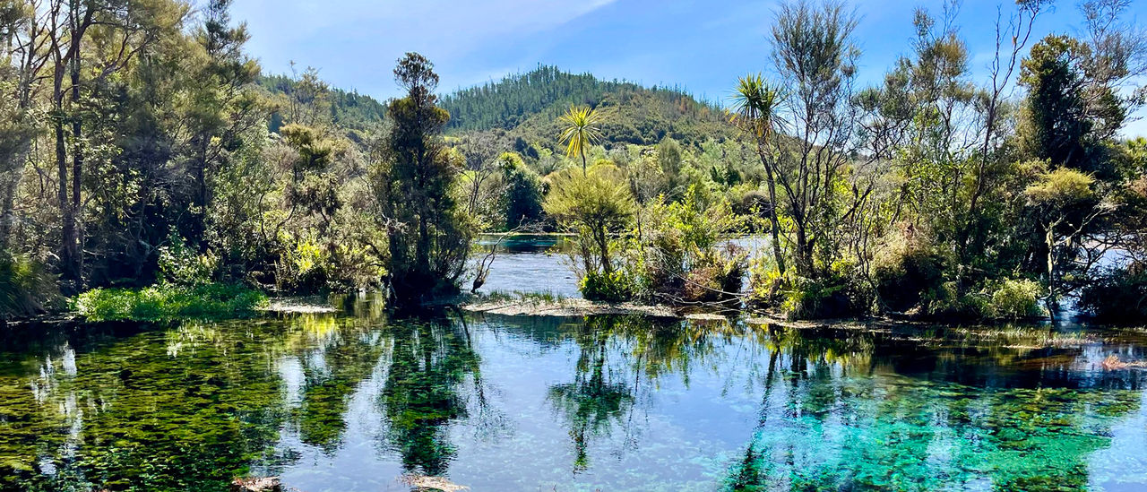 Road trip: Wellington to Golden Bay