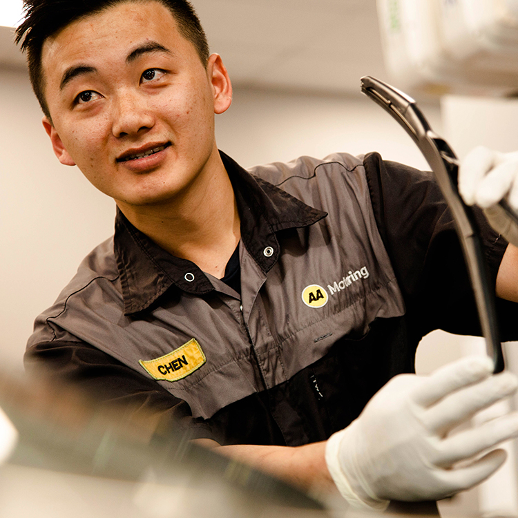 Prepurchase inspection INP