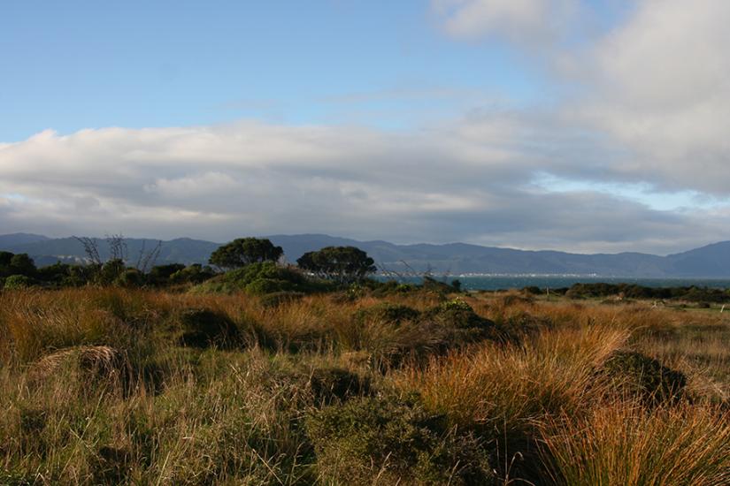 Looking from Kapiti to Paraparaumu